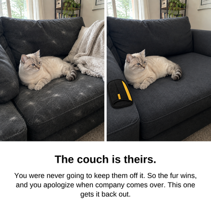 The couch is theirs: cat on a couch covered in hair, then on the same couch clean